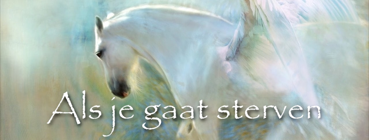“Als je gaat sterven” van Hans Stolp