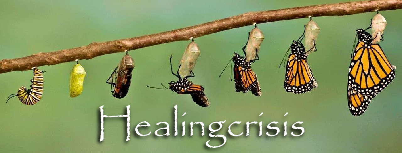Welke voeding ondersteunt een healing crisis?