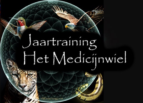 Jaartraining Het Medicijnwiel